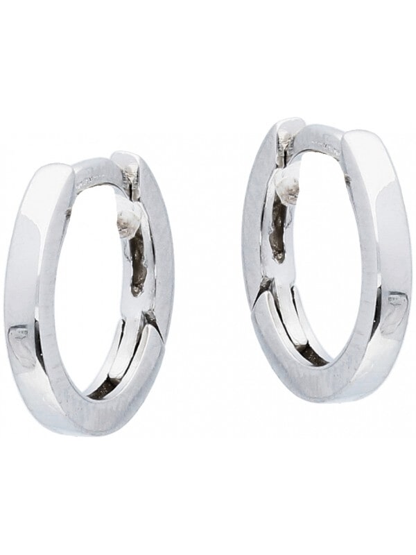 Silver Lining 107.0071.12 Dames Oorbellen