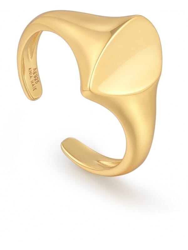 Ania Haie AH R049-02G Tough Love Dames Ring - Minimalistische ring